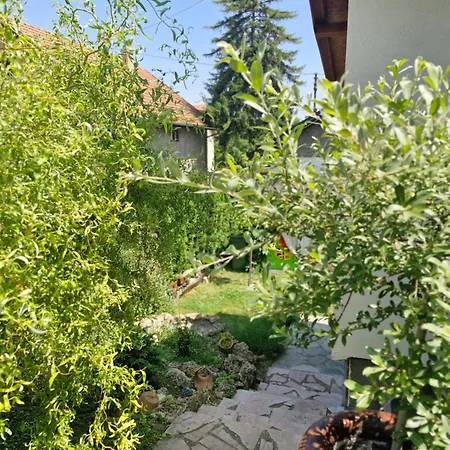 Vasilija * Sremski Karlovci