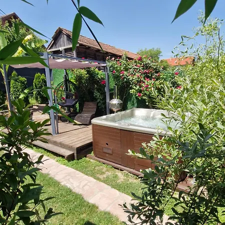 Apartment Vasilija *