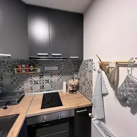 Apartment Vasilija Sremski Karlovci