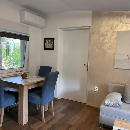 Vasilija Apartament Carloviţ